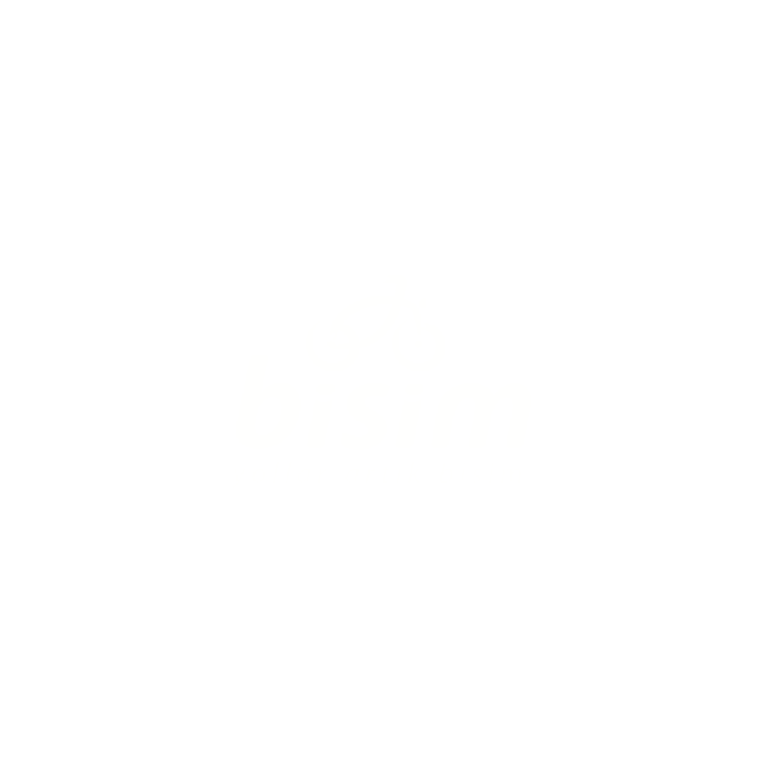 Bisim