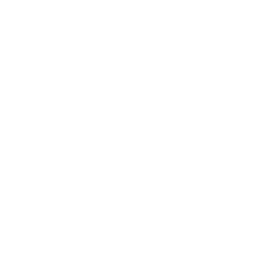 Özsüt