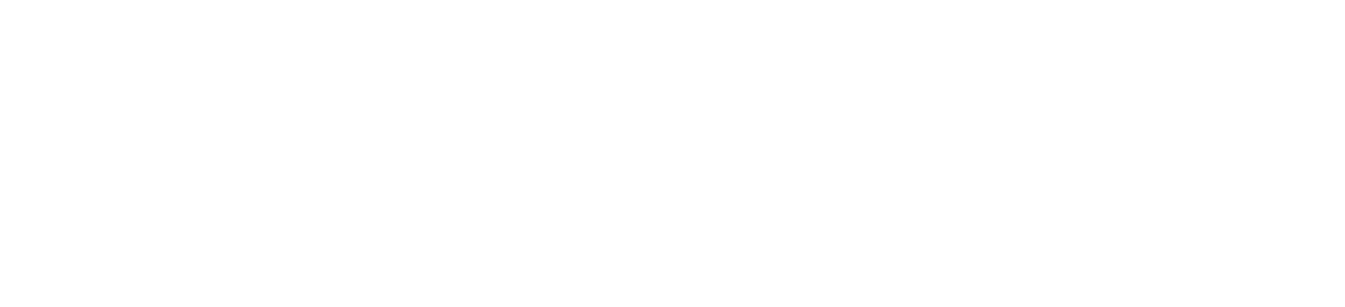 Fse Grup