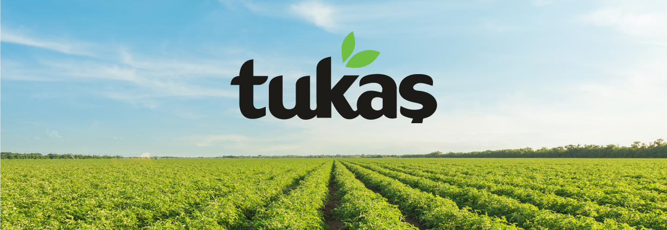 Tukaş — proje görseli