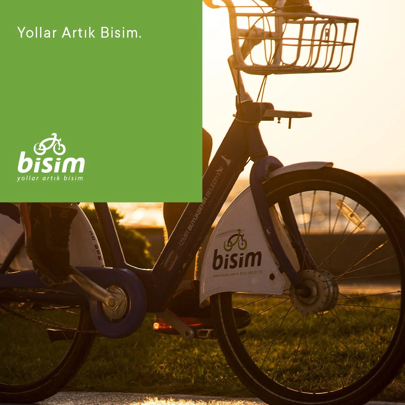 Bisim